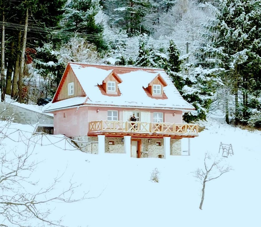 Hodruša Kopanicky Dvor 게스트하우스 외부 사진